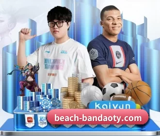 未来布局 - AI 与大数据深度融合,为用户提供个性化的智能服务。